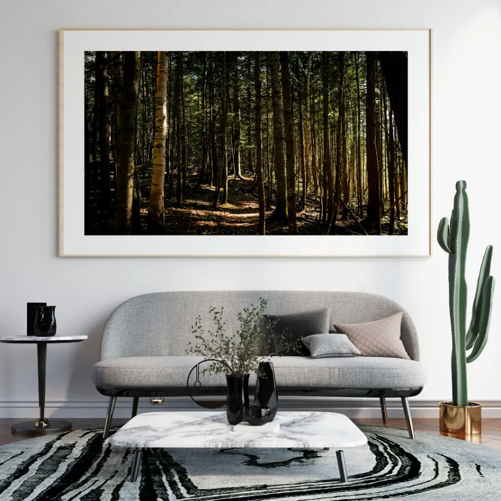 Foret présentation.webp