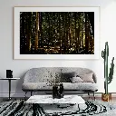 Foret présentation.webp