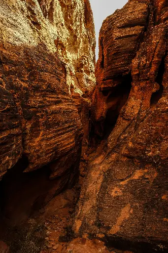 Les Profondeurs du Canyon